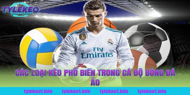 Các loại kèo phổ biến trong cá độ bóng đá ảo