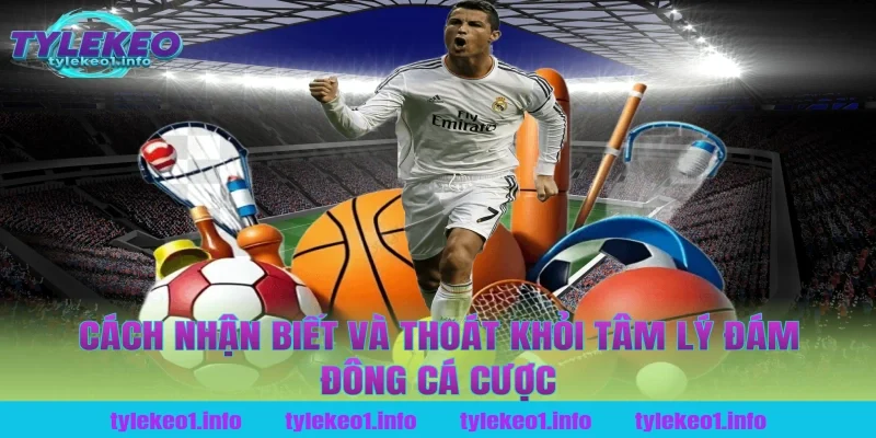 Cách Nhận Biết Và Thoát Khỏi Tâm Lý Đám Đông Cá Cược