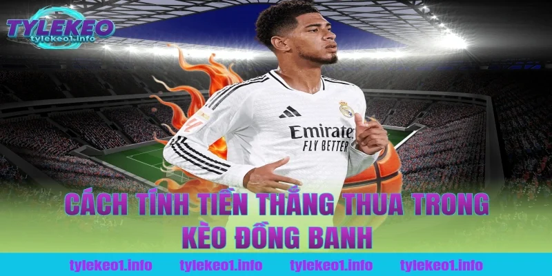 Cách tính tiền thắng thua trong kèo đồng banh
