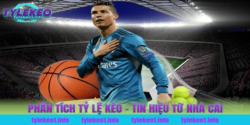 Phân Tích Tỷ Lệ Kèo – Tín Hiệu Từ Nhà Cái