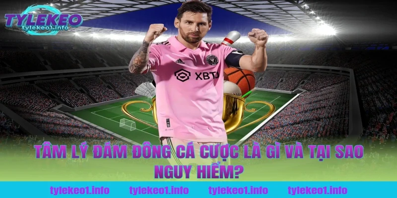 Tâm Lý Đám Đông Cá Cược Là Gì Và Tại Sao Nguy Hiểm?